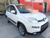 FIAT PANDA 4X4 1.3MULTIJET 75CV